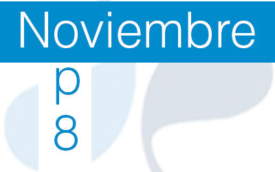 TOP 8 Noviembre
